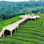 Destinasi Wisata Blitar dengan Pemandangan Luar Biasa Puncak Sekawan