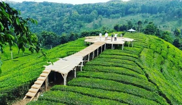 Destinasi Wisata Blitar dengan Pemandangan Luar Biasa Puncak Sekawan