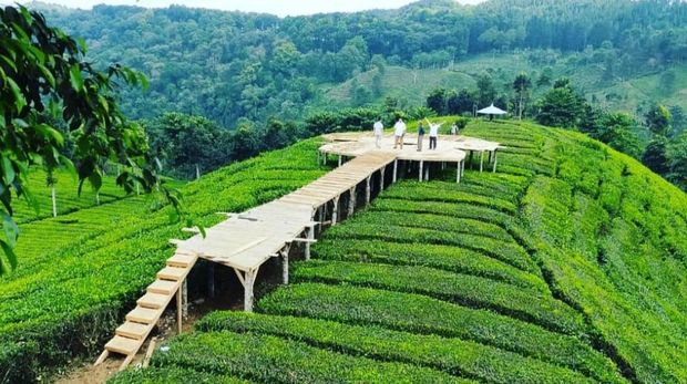 Destinasi Wisata Blitar dengan Pemandangan Luar Biasa Puncak Sekawan